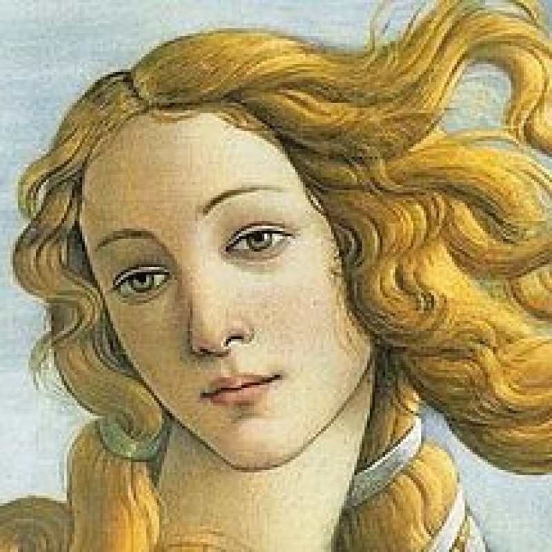 AMAZING PRIVATE UFFIZI & PITTI PALACE GALLERIES &ndash; Guided visits 5 hrs (Not bookable on mondays)