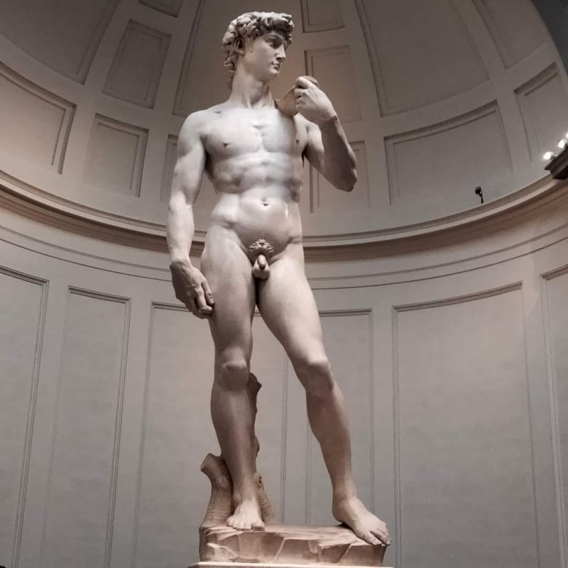 AMAZING PRIVATE ACCADEMIA GALLERY (DAVID) & GHIRLANDAIO LAST SUPPER &ndash; Guided visits 3 hrs (Not bookable on mondays)