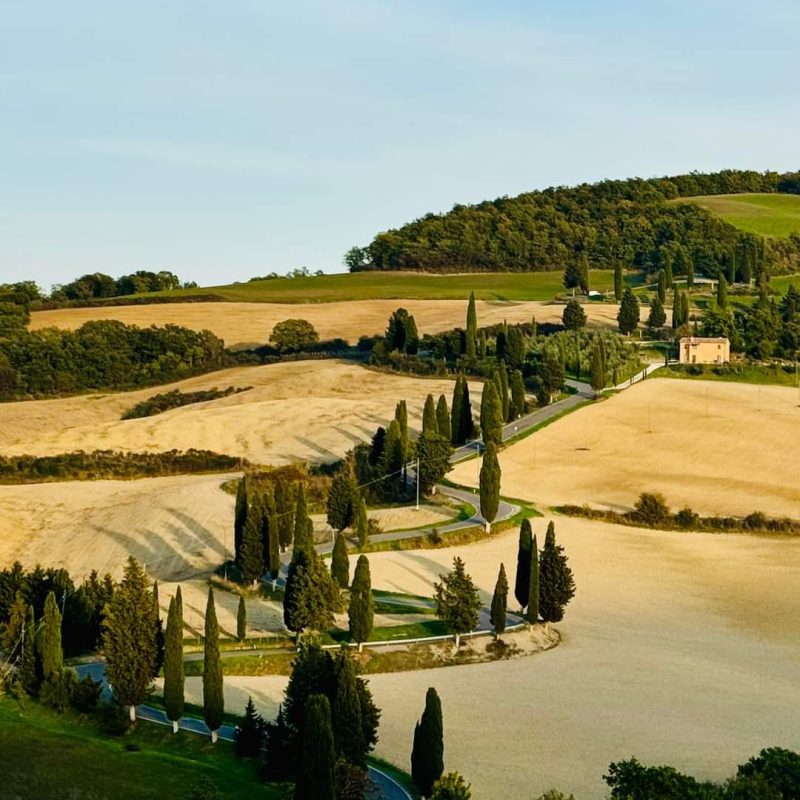 AMAZING PRIVATE ROMANTIC FOR 2 &ndash;  TRUFFLE HUNTING, COOKING CLASS & CHIANTI CLASSICO WINE EXPERIENCES &ndash; Tour length 8 hr and 30 min