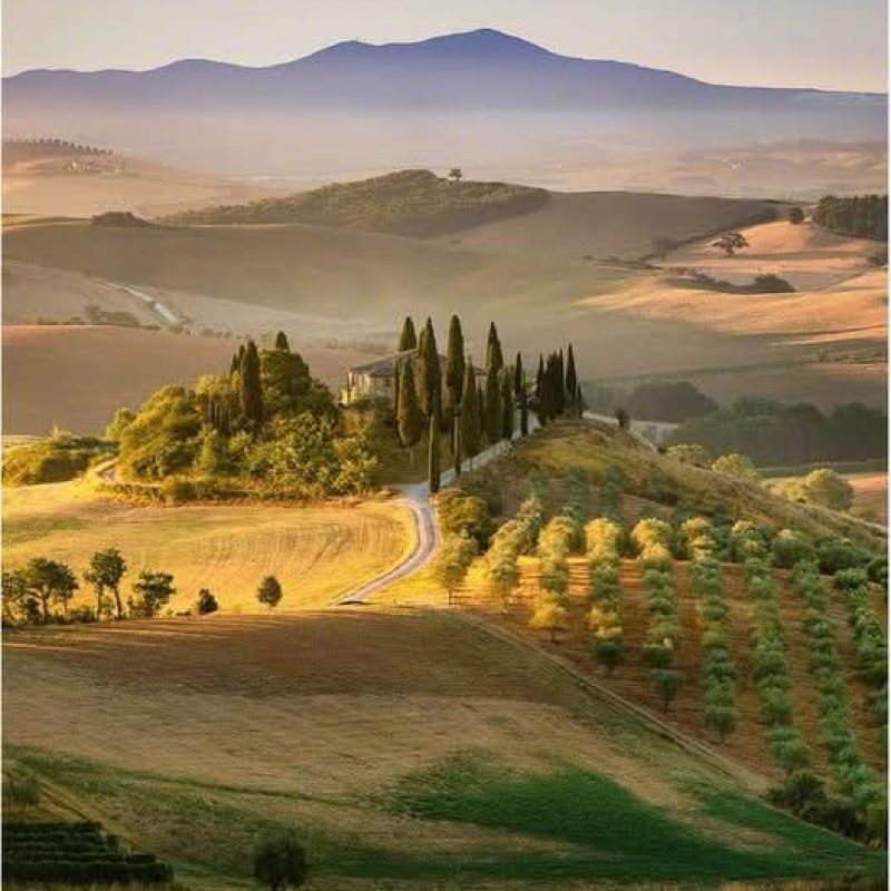 AMAZING PRIVATE &ndash; TRUFFLE HUNTING, ANTINORI STOP & CHIANTI CLASSICO WINE TOUR &ndash; Tour length 8 hrs and 30 min