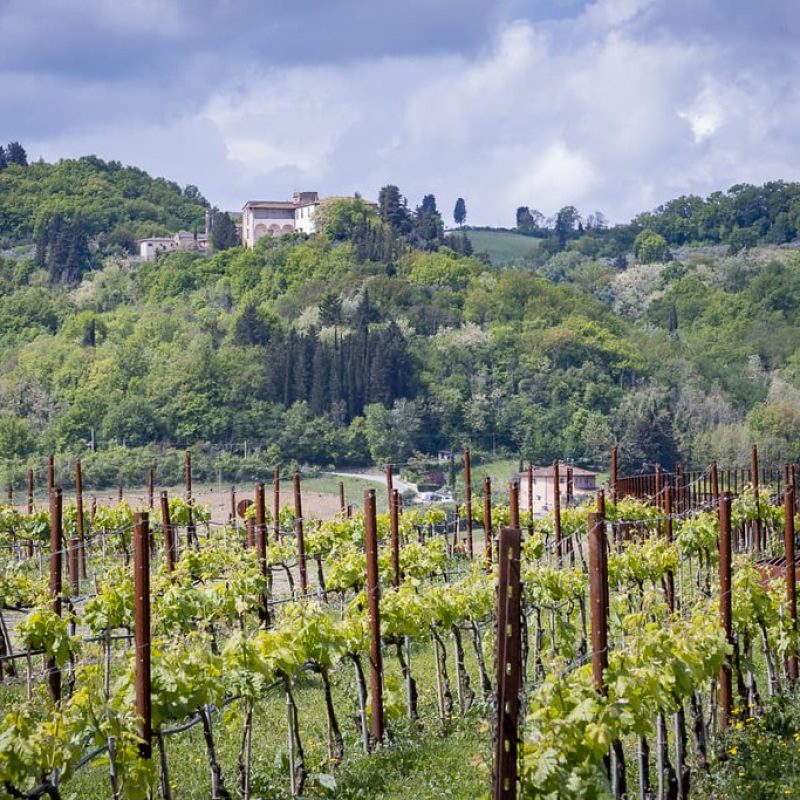 AMAZING PRIVATE &ndash; COOKING CLASS, ANTINORI STOP & CHIANTI CLASSICO WINE TOUR &ndash; Tour length 8 hrs and 30 min