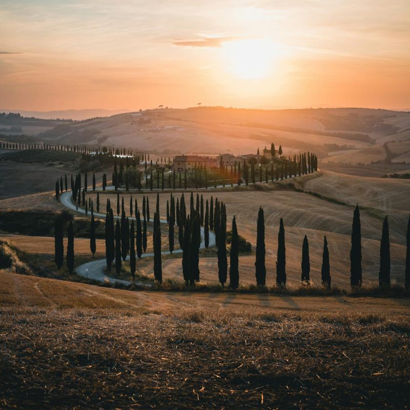 AMAZING PRIVATE &ndash; NOBILE WINE & PECORINO TOUR IN VALDORCIA: PIENZA & MONTEPULCIANO &ndash; Tour length 10 hrs