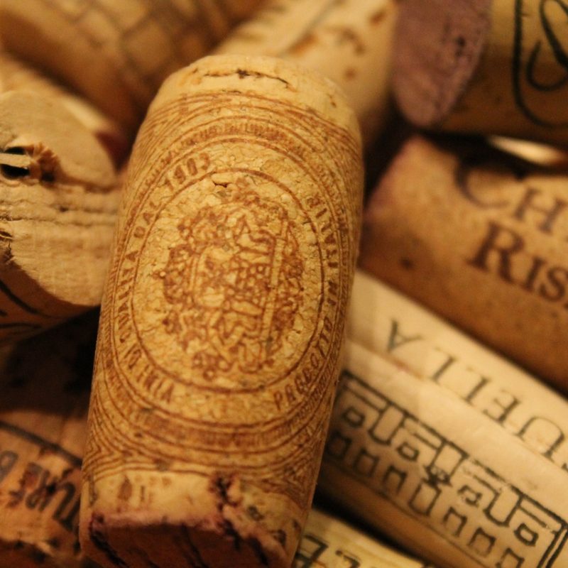 AMAZING PRIVATE &ndash; TRUFFLE HUNTING WITH DOGS, ANTINORI STOP & CHIANTI CLASSICO WINE TOUR &ndash; Tour length 8 hrs and 30 min