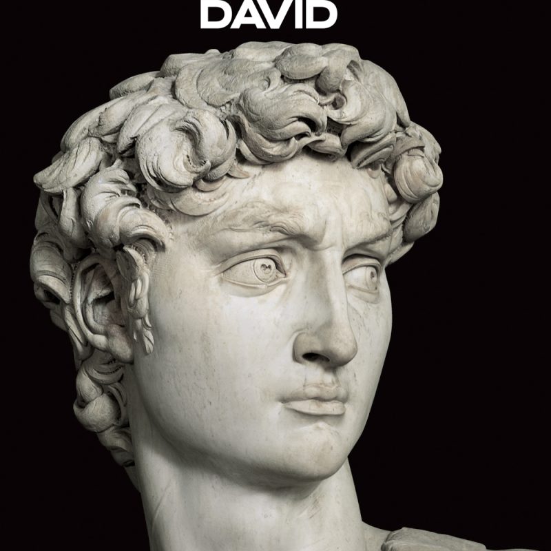 AMAZING PRIVATE ACCADEMIA GALLERY (DAVID) & SAN MARCO CONVENT &ndash; Guided visits 4 hrs (Not bookable on mondays)