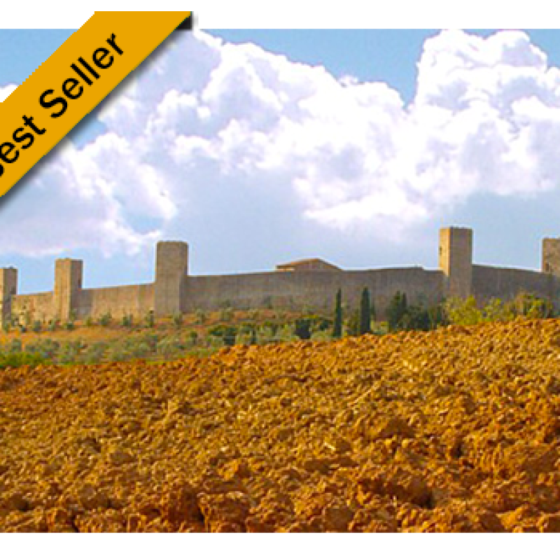 WONDERFUL WINE TOUR IN CHIANTI WITH STOP IN PISA &ndash; Private Shore Excursion from Piombino
