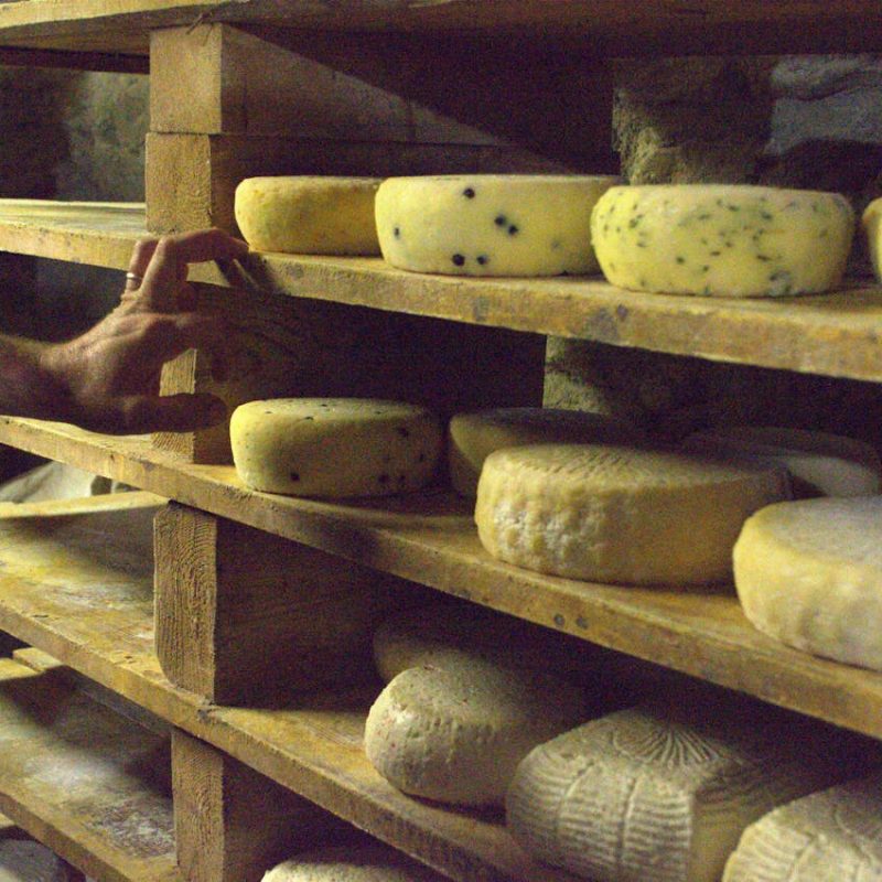 AMAZING PRIVATE &ndash; PECORINO FACTORY, SAN GIMIGNANO & CHIANTI CLASSICO WINE TOUR &ndash; Tour length 8 hrs