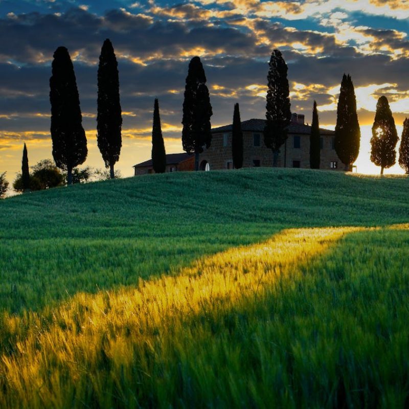 AMAZING PRIVATE &ndash; ALL THE BEAUTY OF VALDORCIA: MONTALCINO, PIENZA & MONTEPULCIANO &ndash; Tour length 11 hrs.