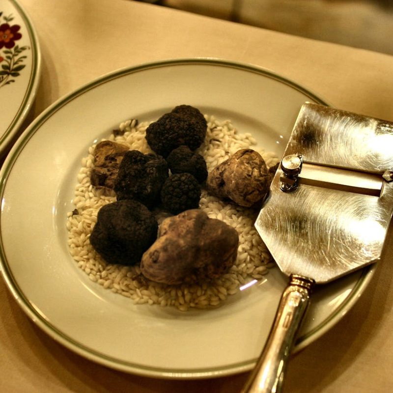 AMAZING PRIVATE &ndash; TRUFFLE HUNTING WITH DOGS, SAN GIMIGNANO & CHIANTI CLASSICO WINE TOUR &ndash; Tour length 8 hrs and 30 min